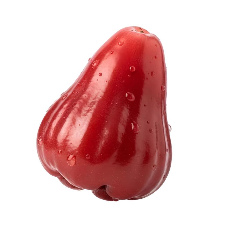 西伯利亚花果山社恐泪失禁蕾丝性感莲雾