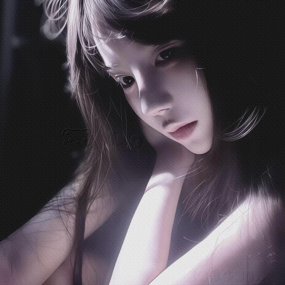 理由公主