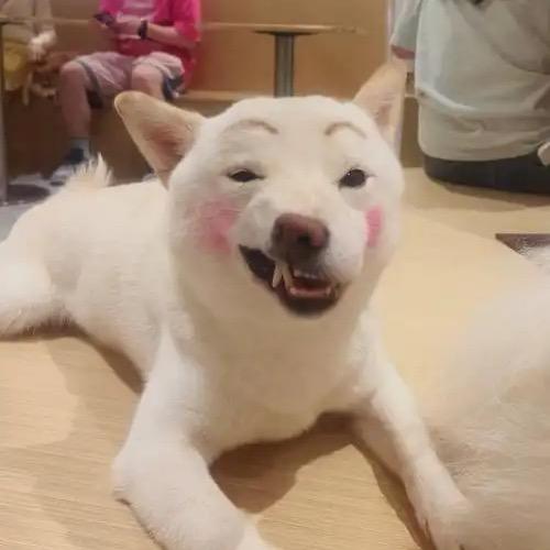 皮蛋肥肉粥