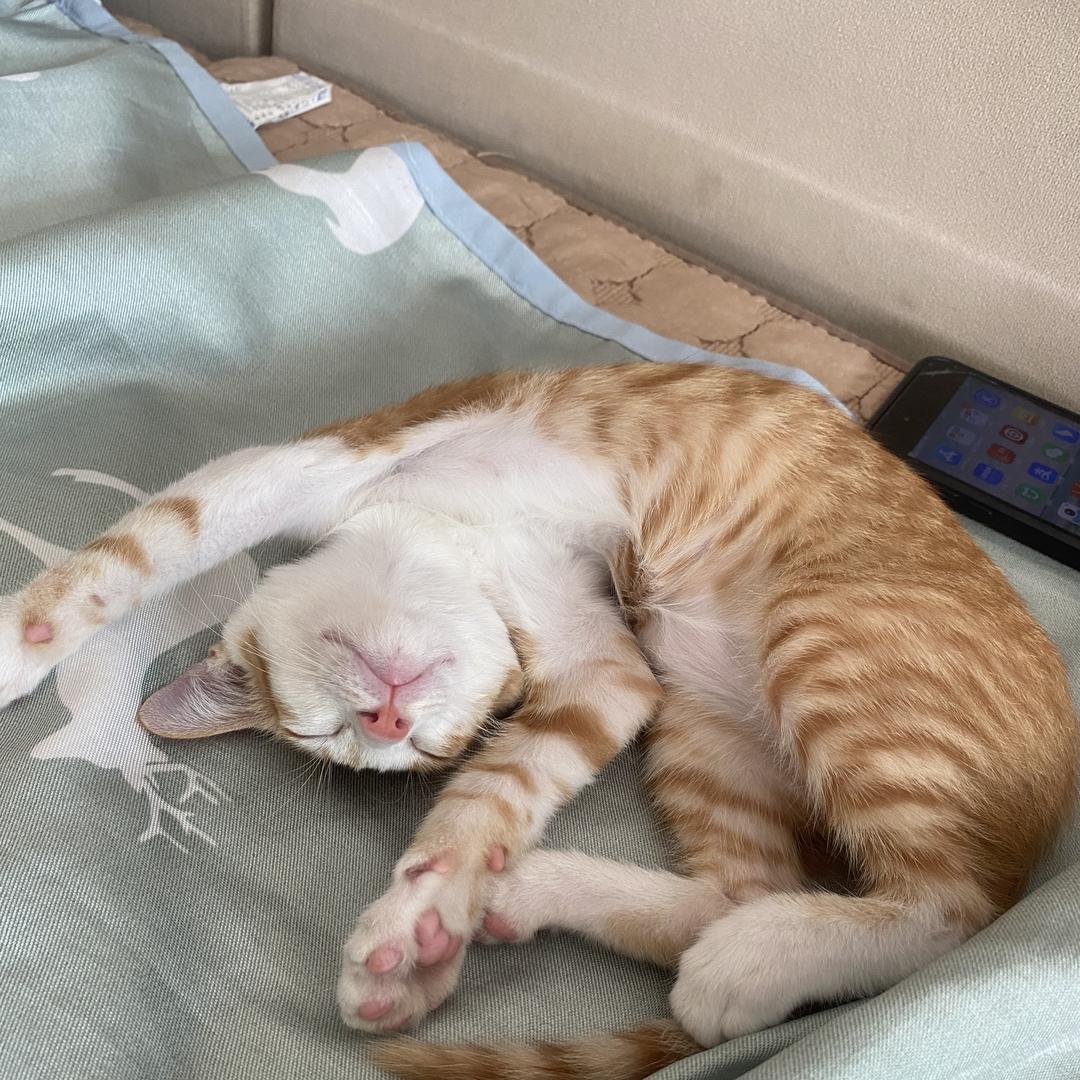 饰你心动