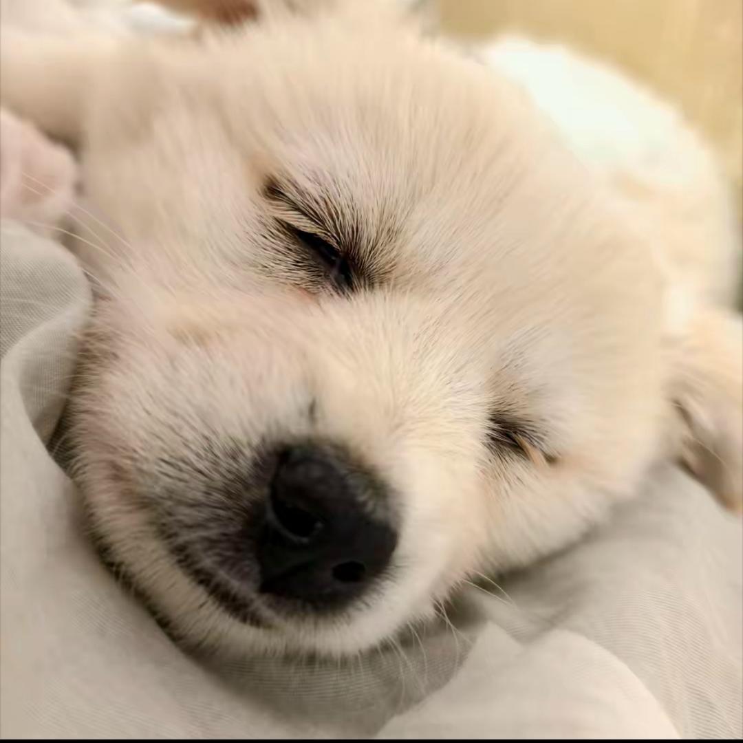 向阳而生救助基地