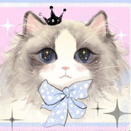 Amy家的布偶猫～九年布偶猫舍