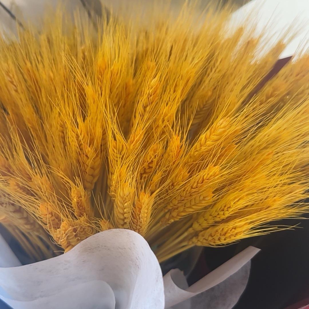 淘淘浩服装生活坊