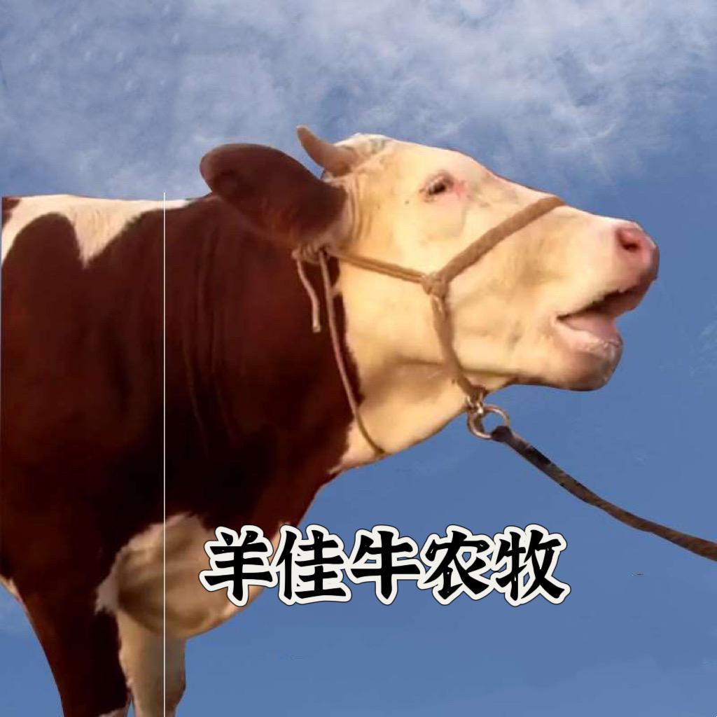 Esilqarwa 本部