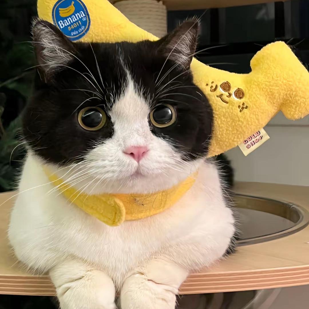 𝙈𝙐𝙓𝙞𝙉💫