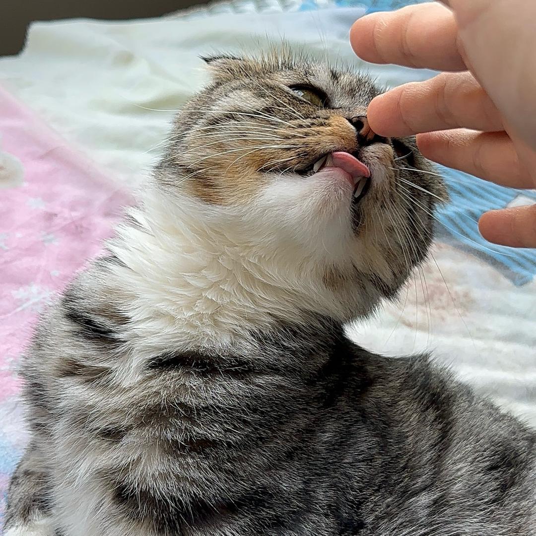 难  遇