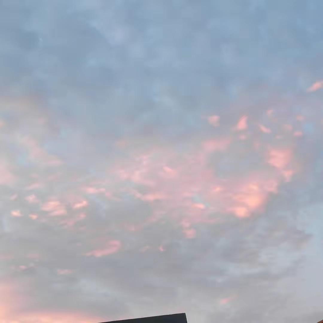 梨花开了