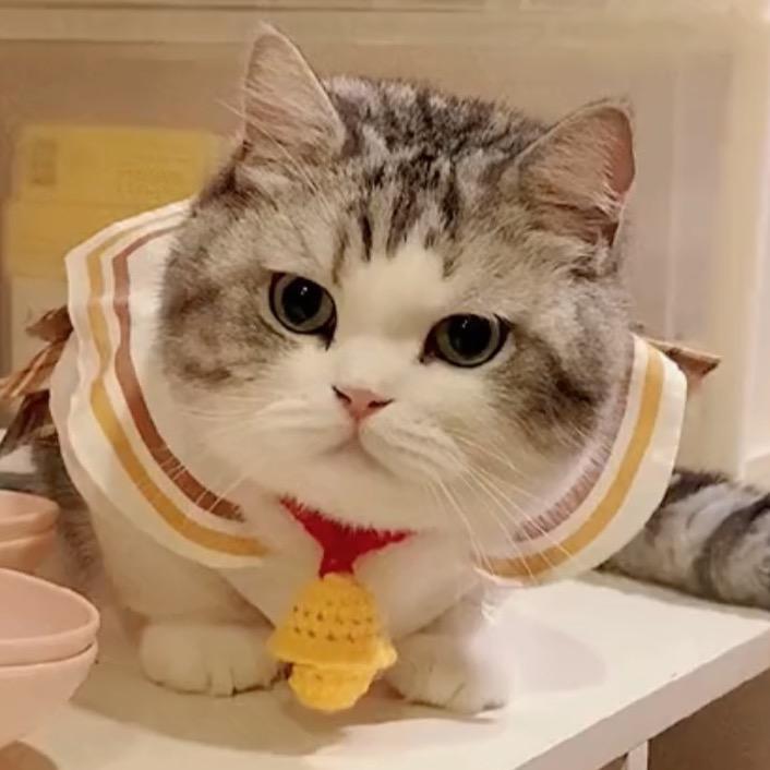 江湖有大头