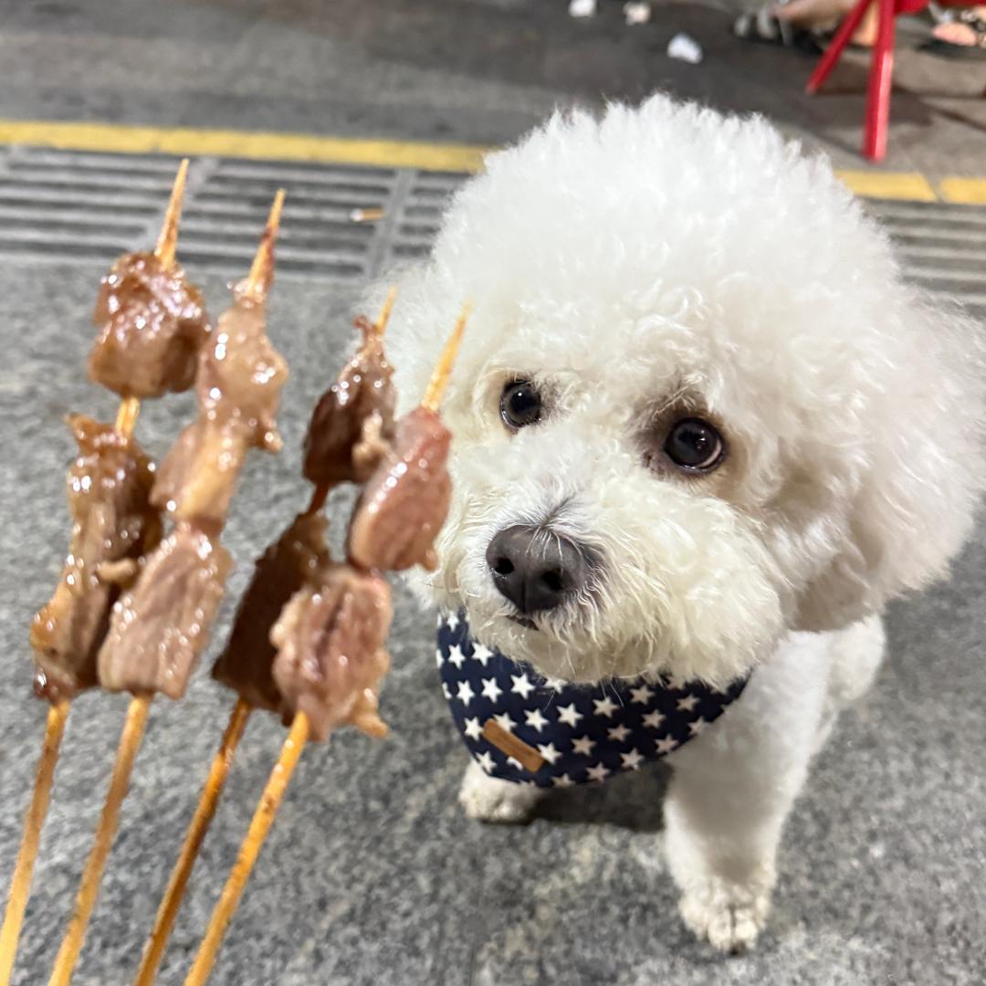 💕是豆包呀💕