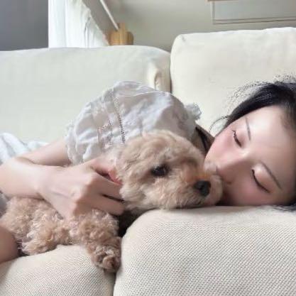 小小羊