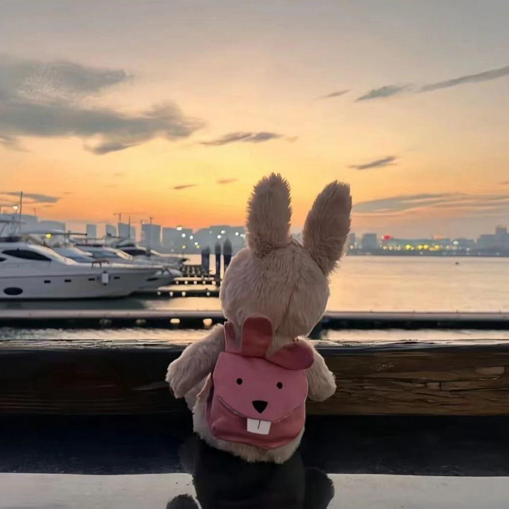 重生之我在连云港卖房