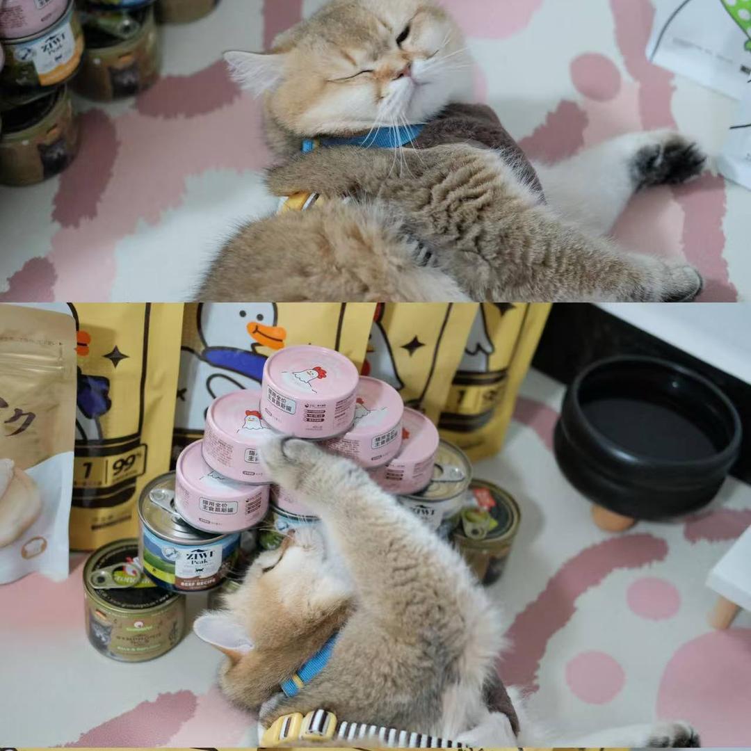 🌈年年有余、岁岁平安🌈