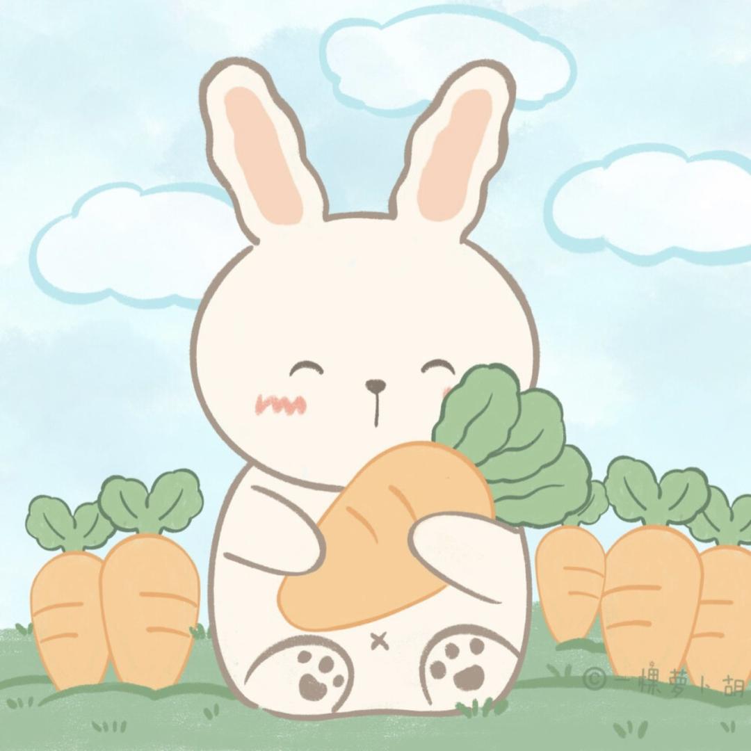 吃货小宝吖