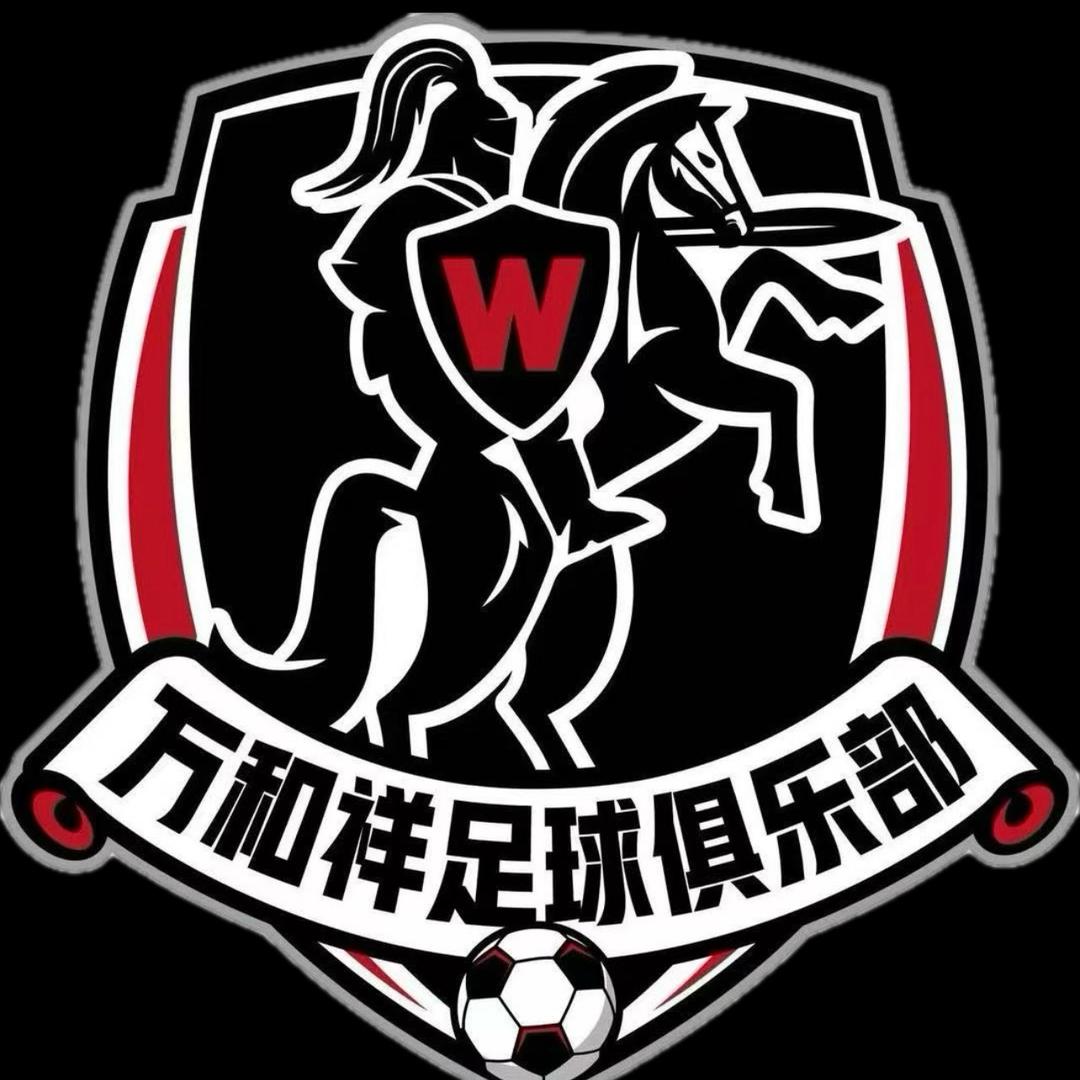 大连万和祥足球队