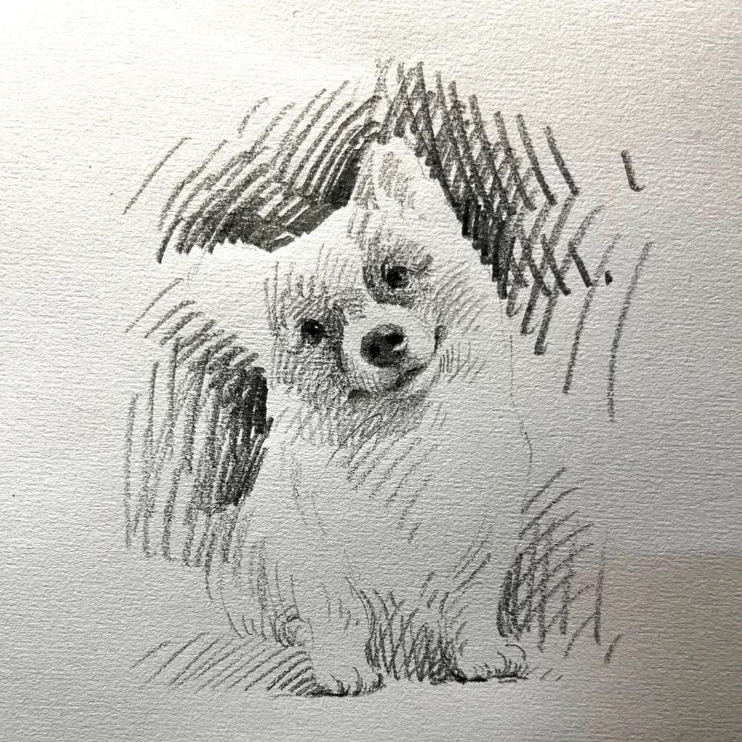 No.1
