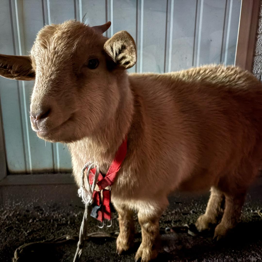 顺风尽量不湿鞋
