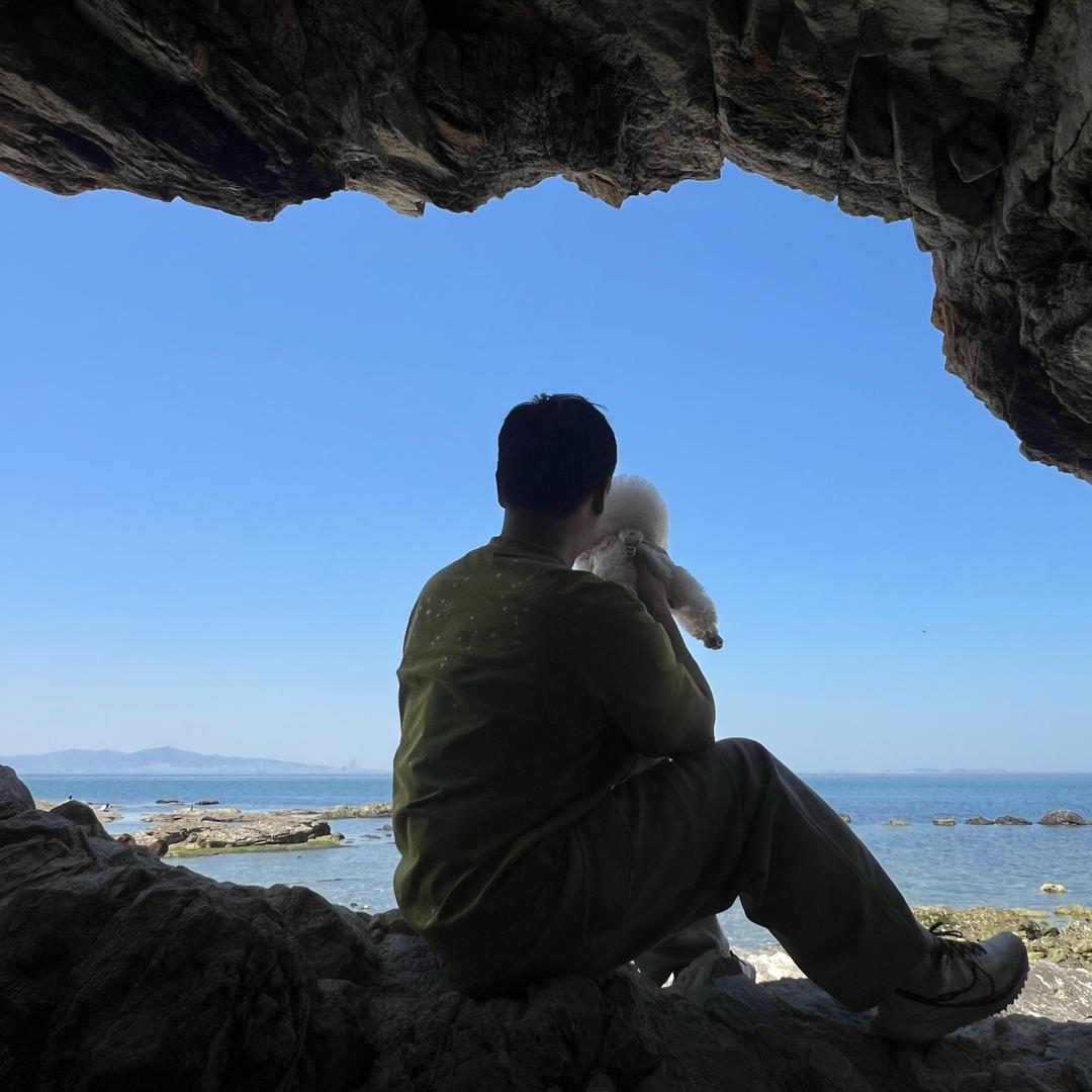 电商宠物保健源头厂家