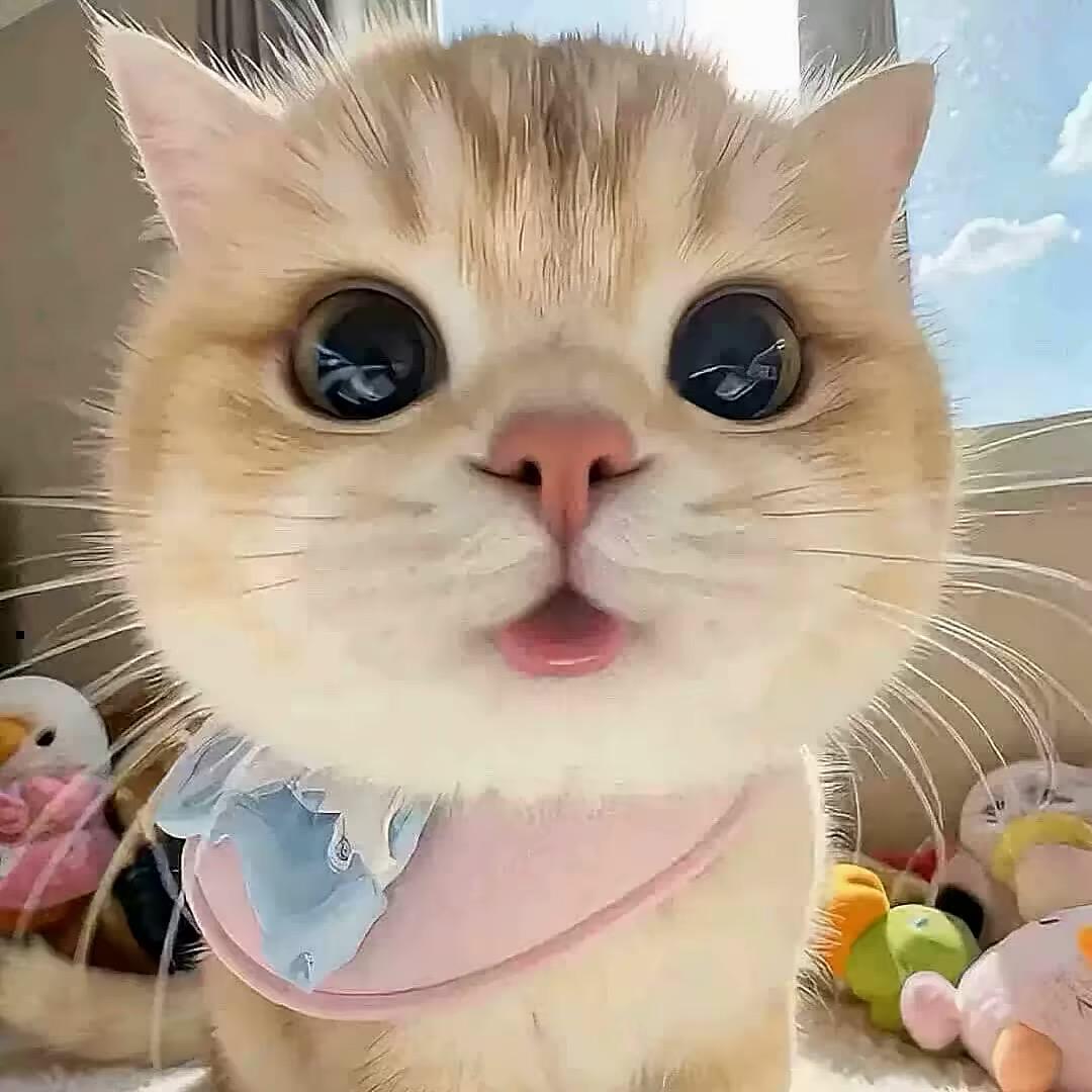 …