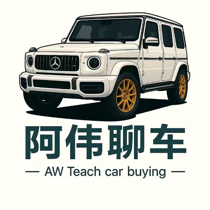 阿伟教买车