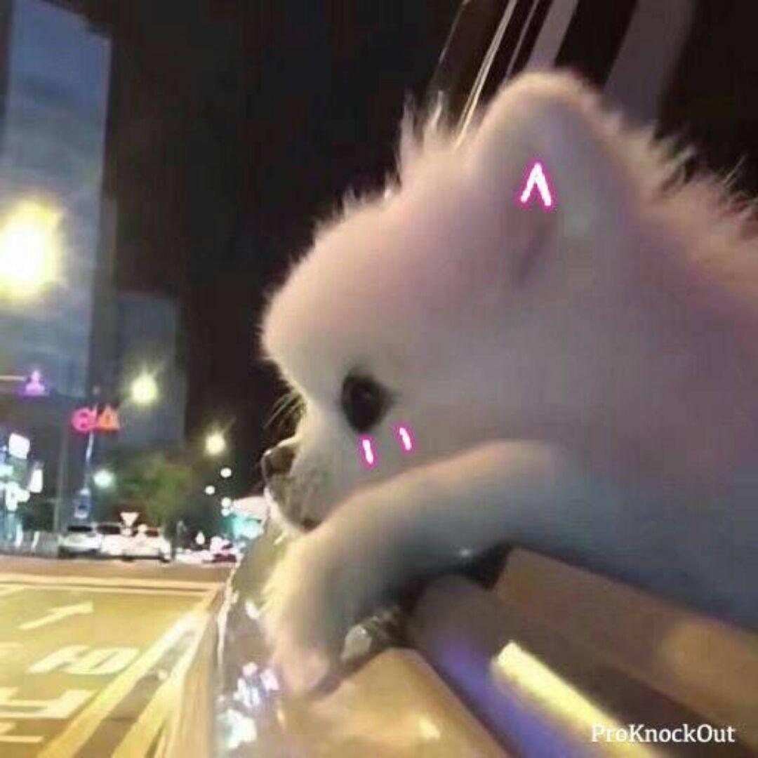 鳌拜的哥哥熬夜