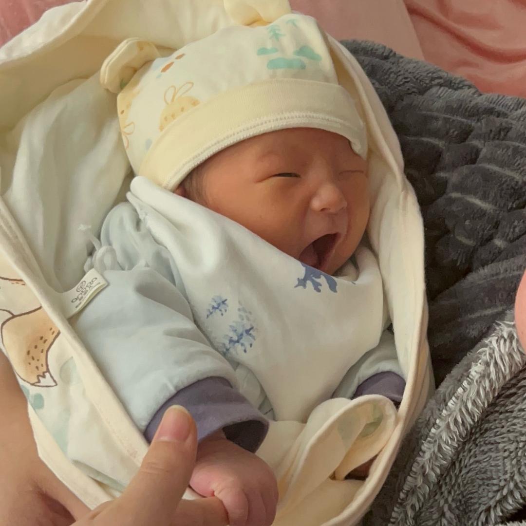 小石头在发芽🌱