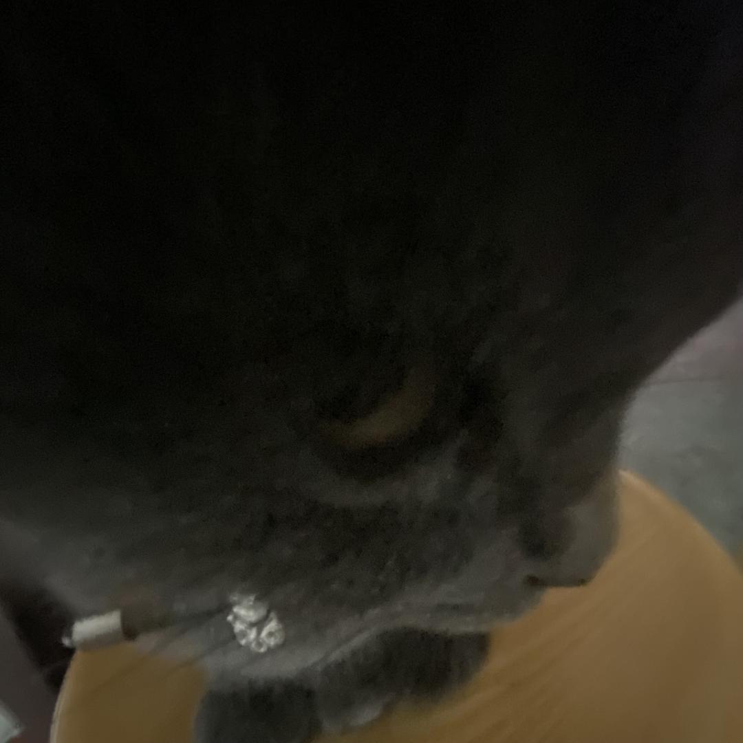 風