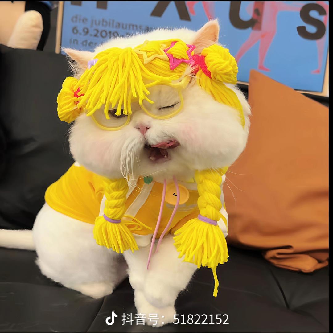 一起玩蛋仔吧