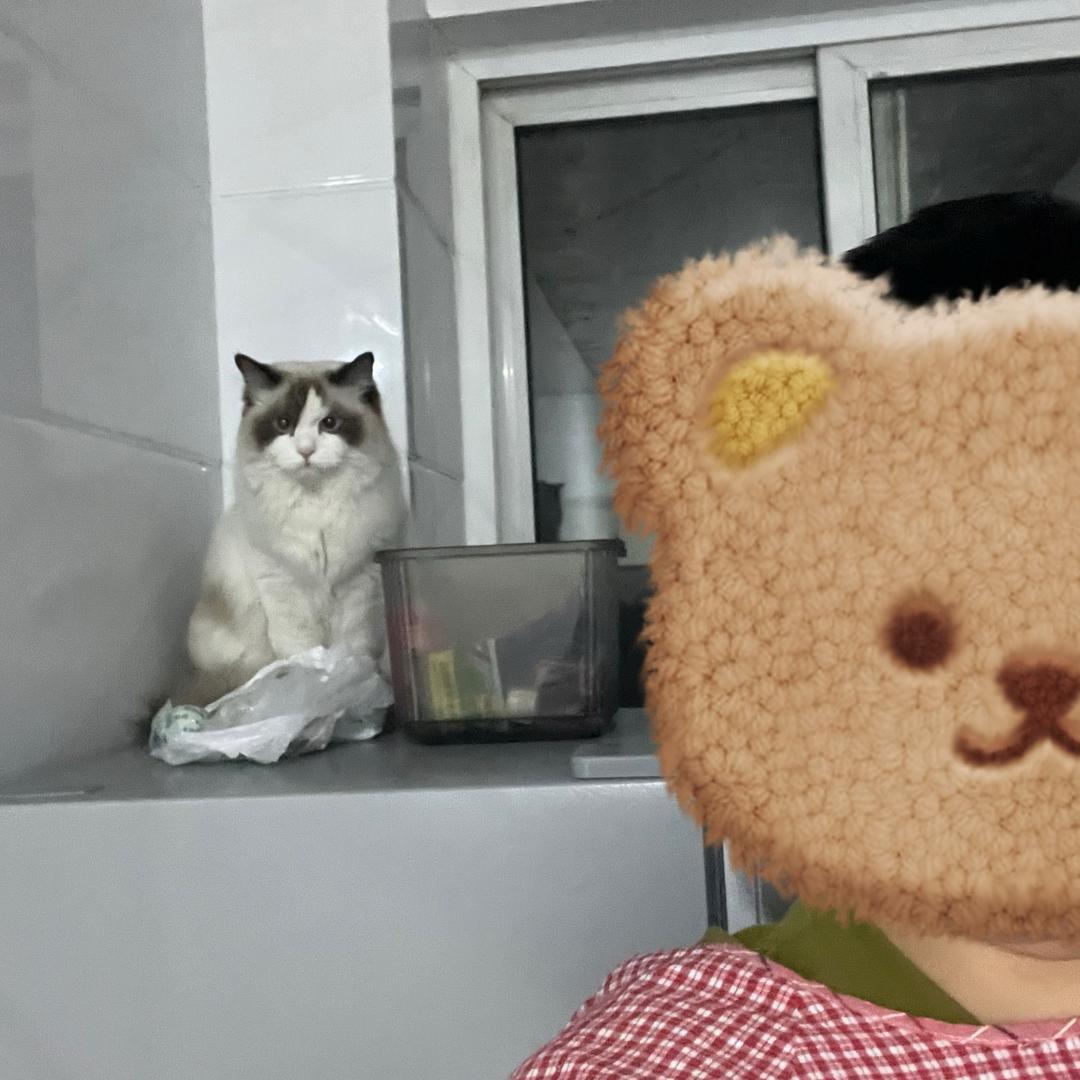 小D