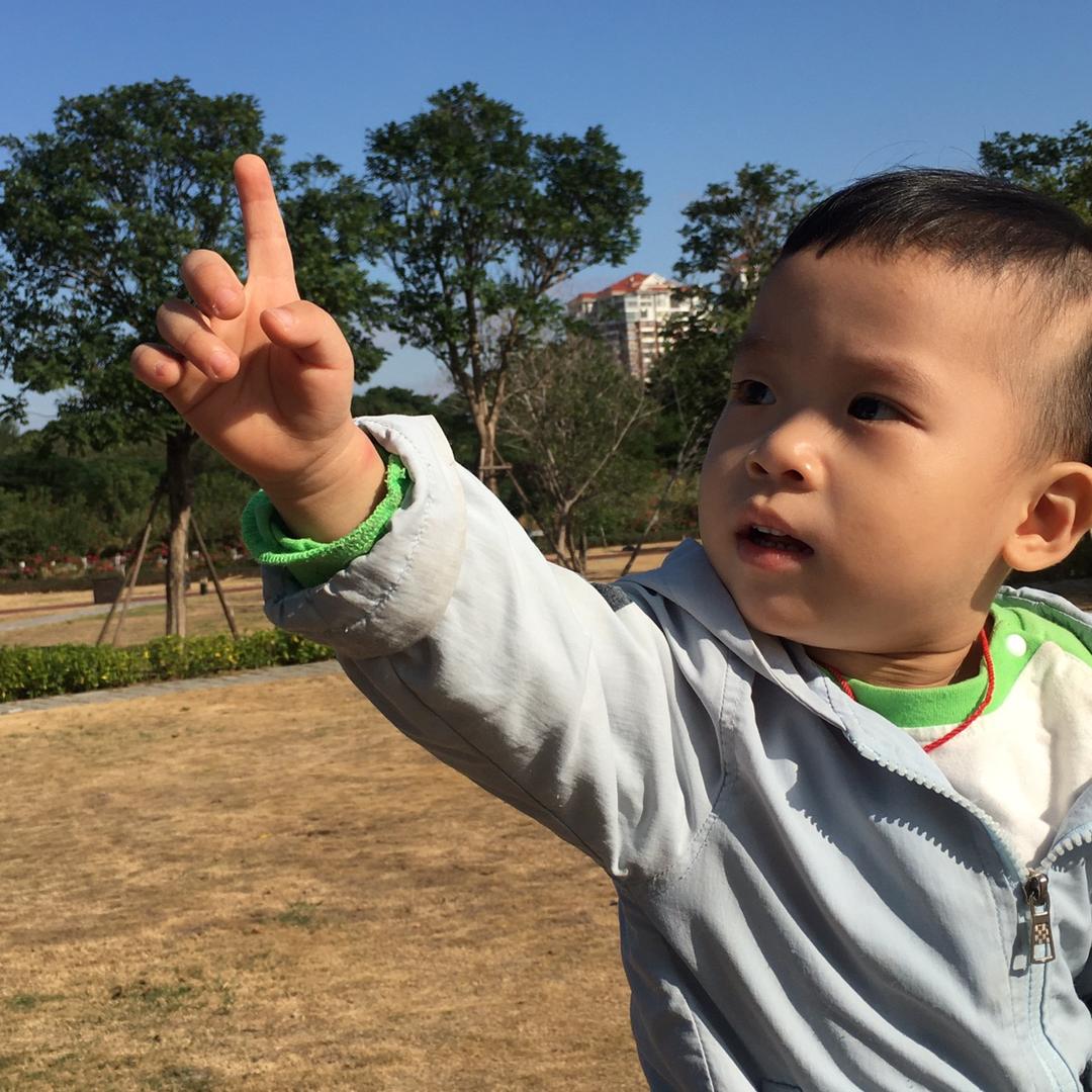 飞上天的塑料袋