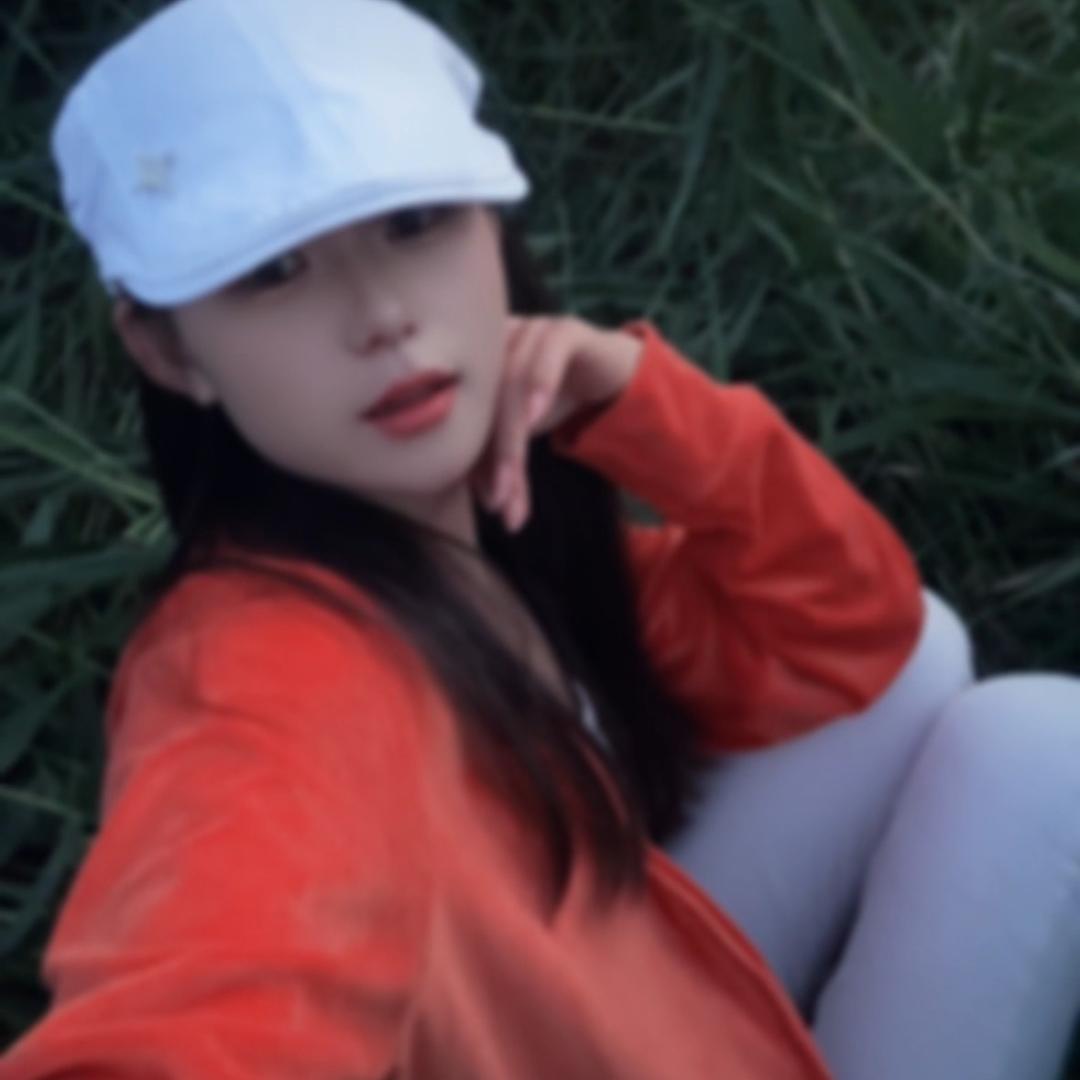 小马的日记本.
