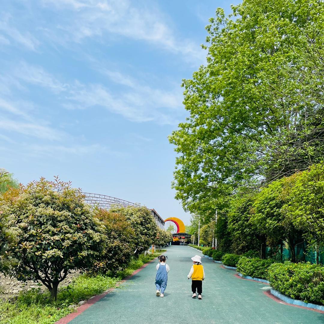 陈扣扣