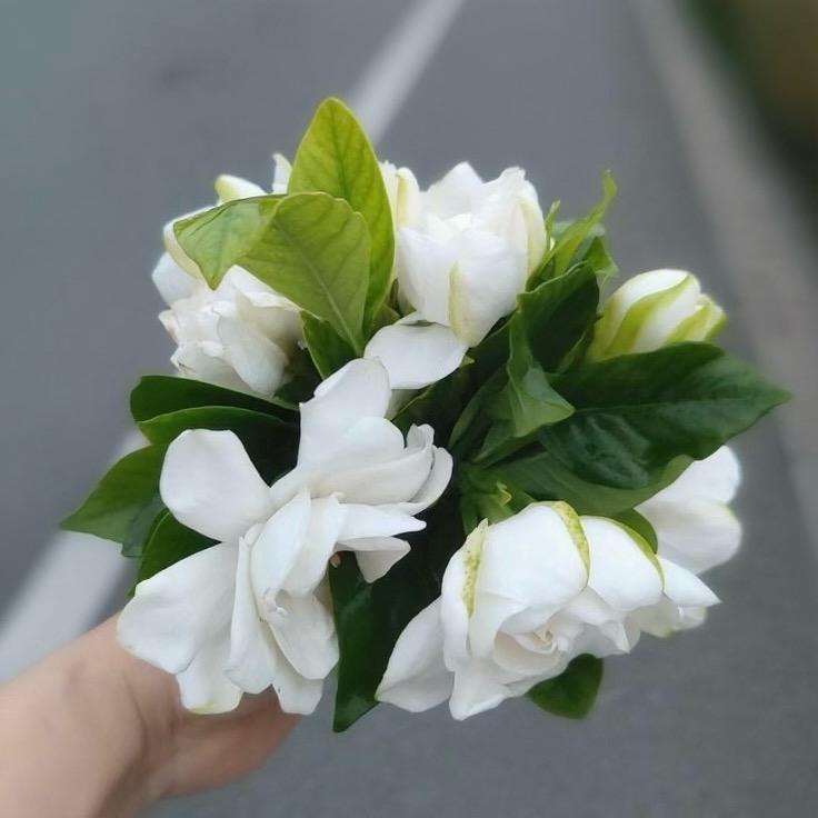 🌈我的抖音