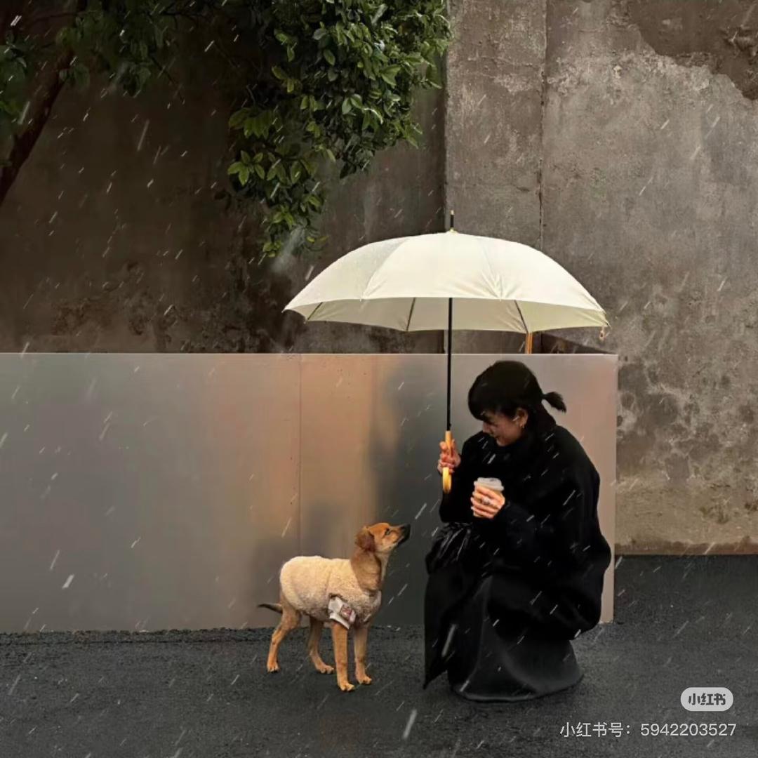 聚光优品