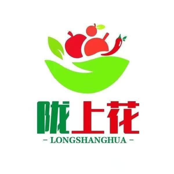 陇上花三农