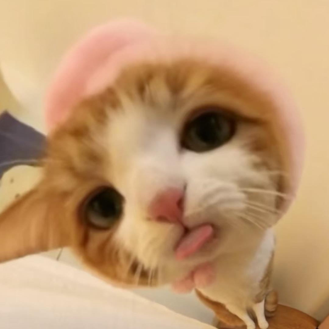 fi