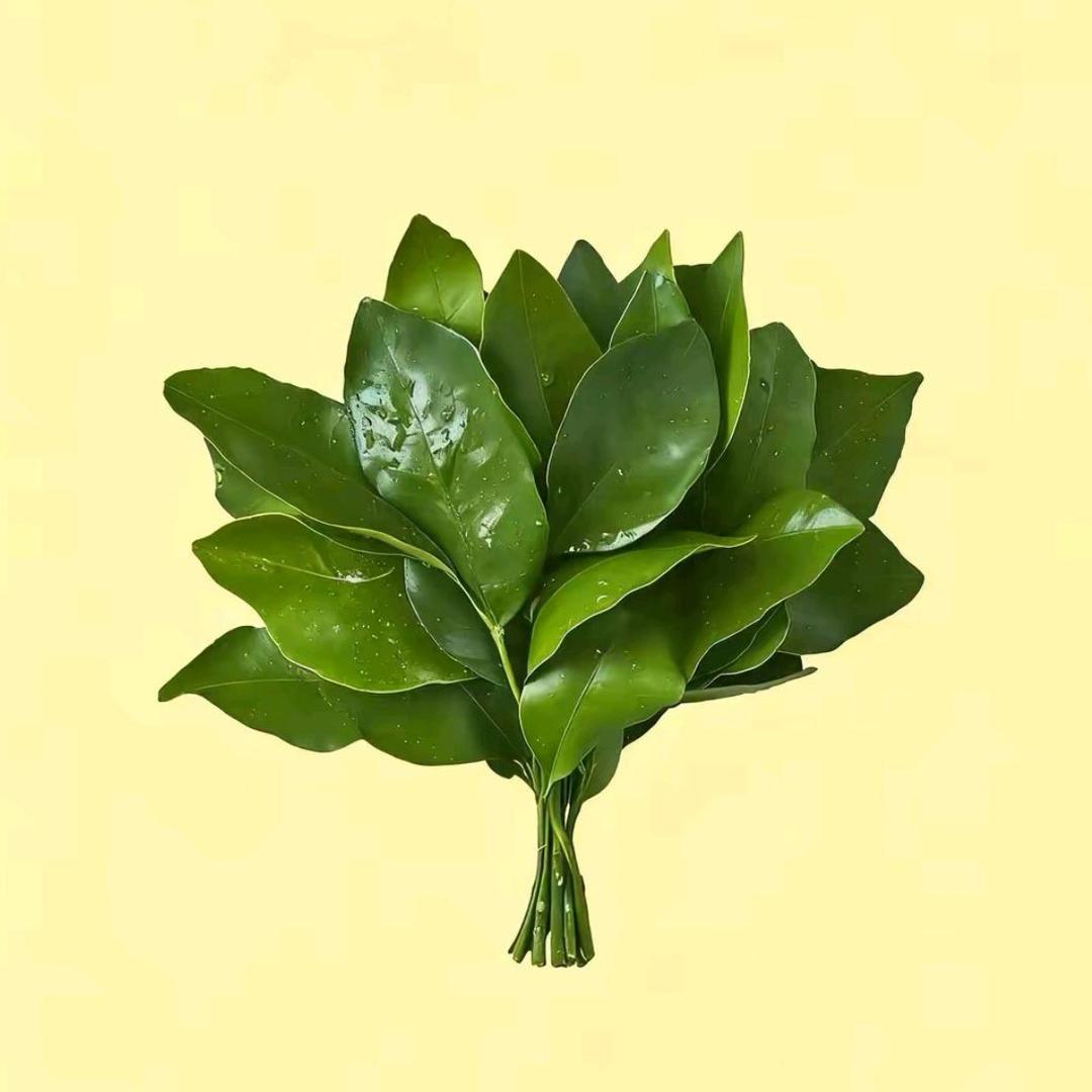小乖_