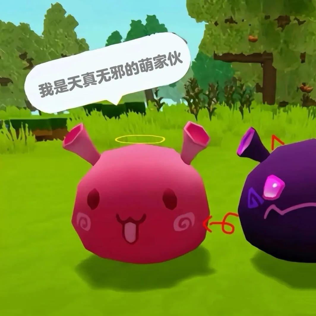 秘制炖小鼠