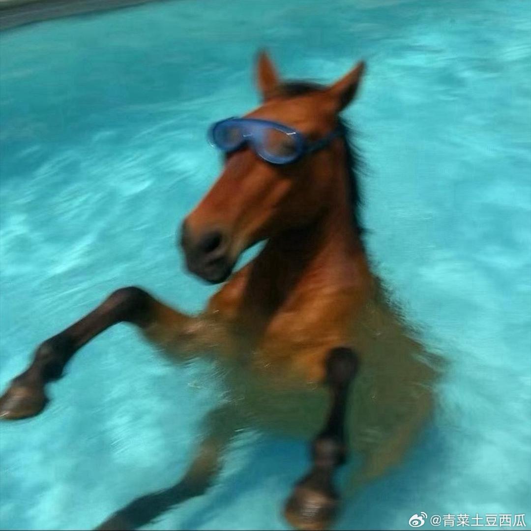 萌茄酱猫·祺¹²¹²