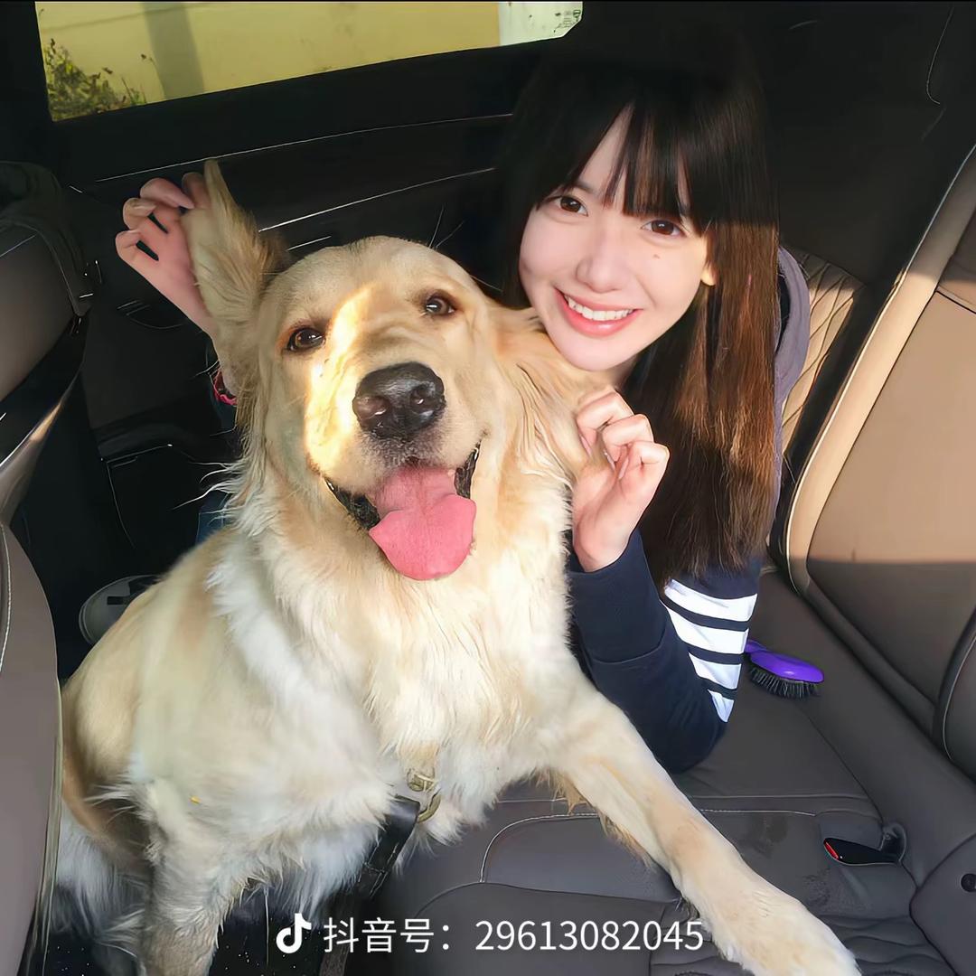 柠檬好物精选
