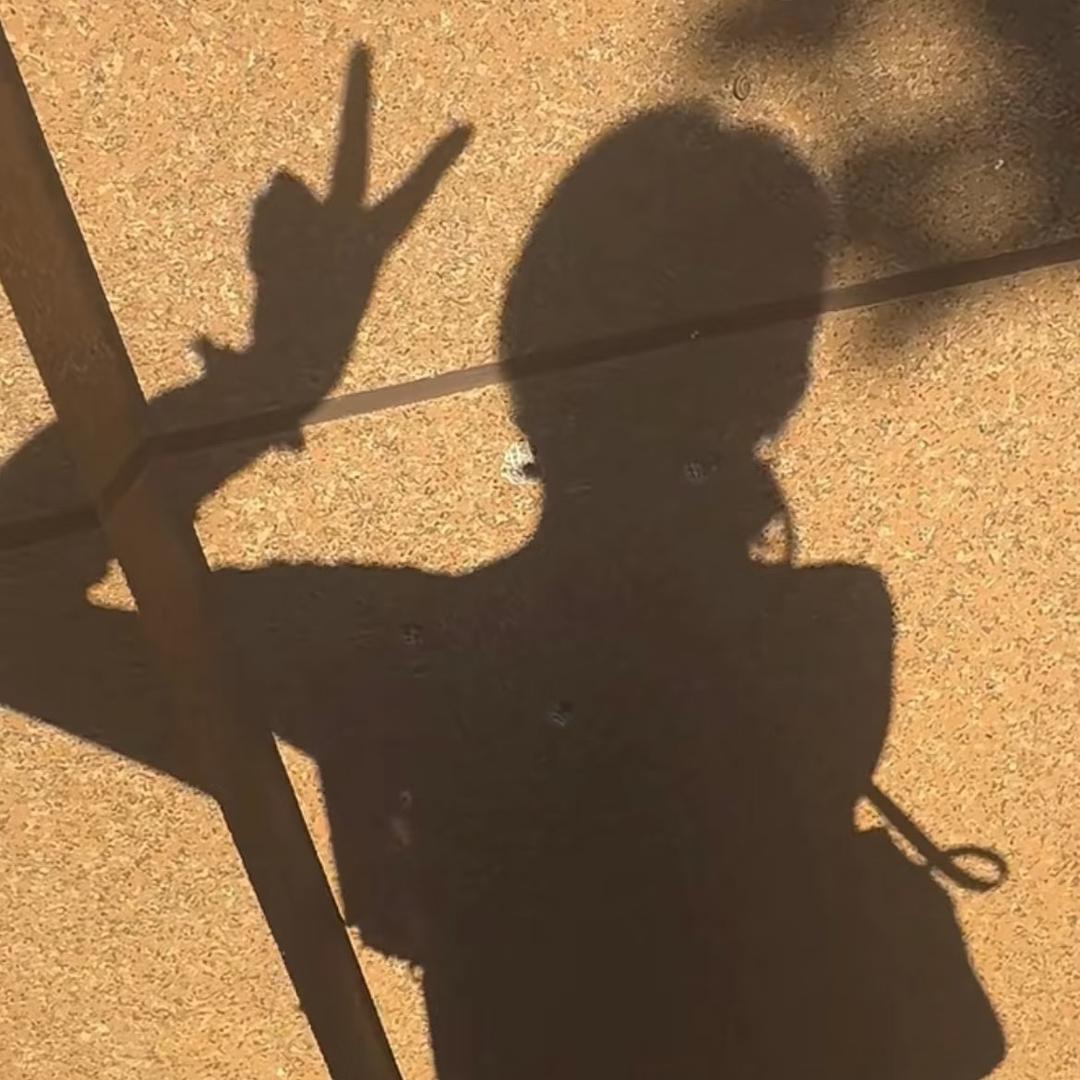 一个李