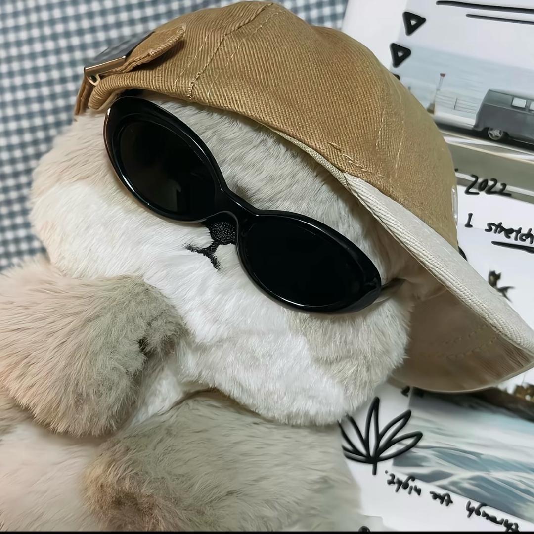 🇧🇷