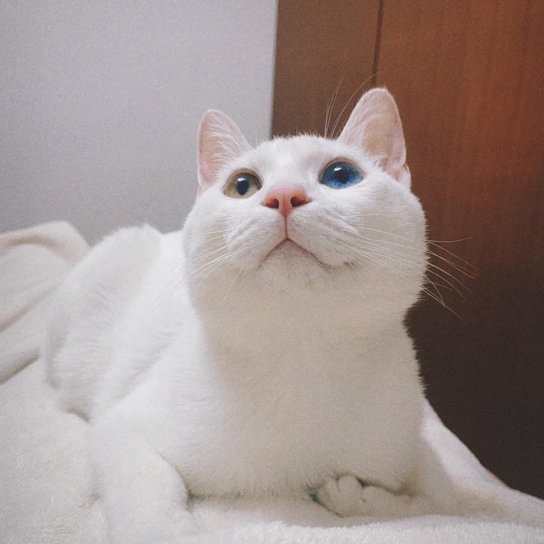 十里