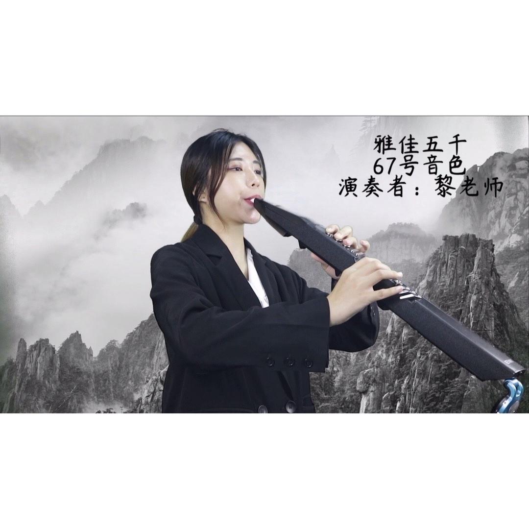 小黎电吹管