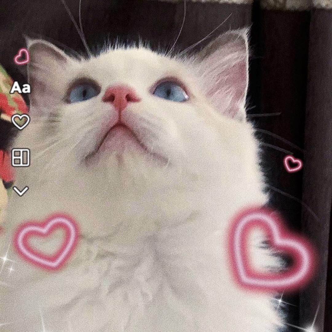 大头小年🐈