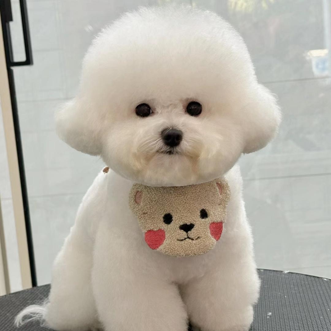 不欺暗室