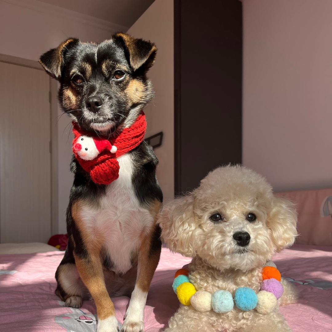 我家啾啾最漂亮