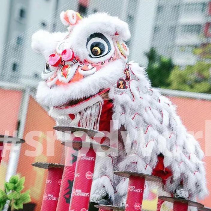 广东惠州市龙狮文化（招生）
