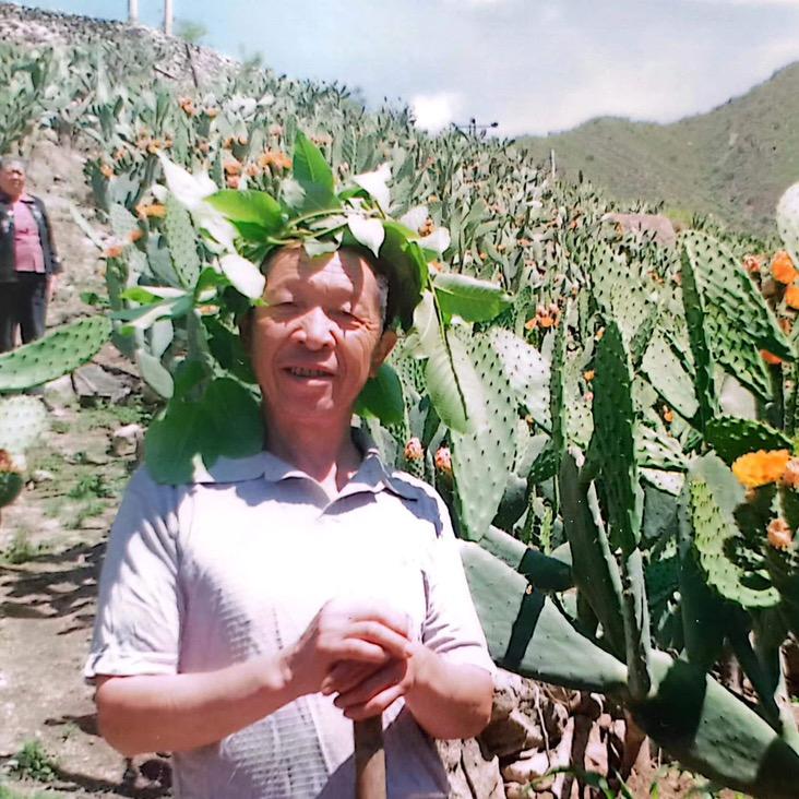 仙人掌阿爷讲故事🌵