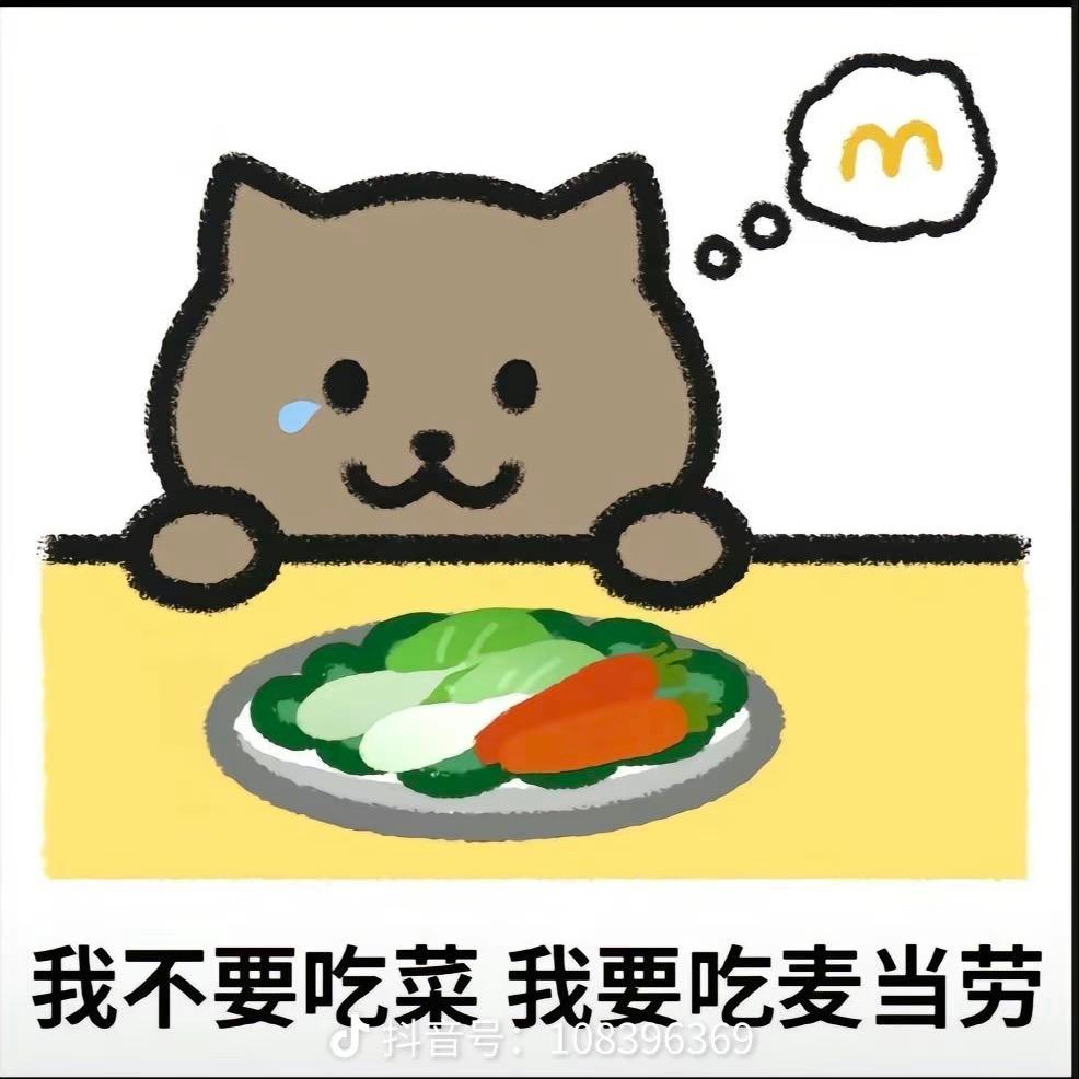 厦门小包子