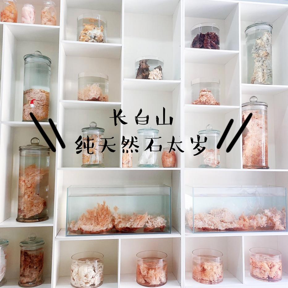 长白山精品野生石太岁